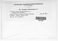 Image Associated With the Occurence